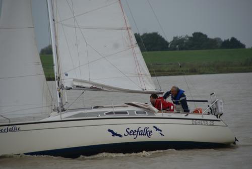 dsc00874 20201006 1137923577