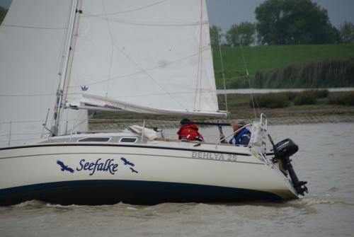 dsc00876 20201006 1777588604