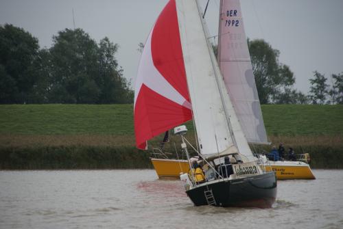 dsc00879 20201006 1288964201