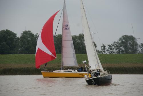 dsc00880 20201006 1883895704