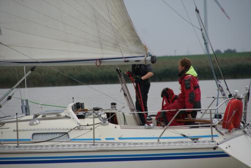 dsc00894 20201006 1032039681