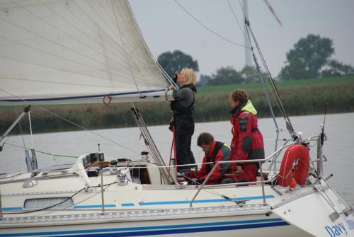 dsc00895 20201006 1557338945