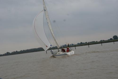 dsc00902 20201006 1254020452