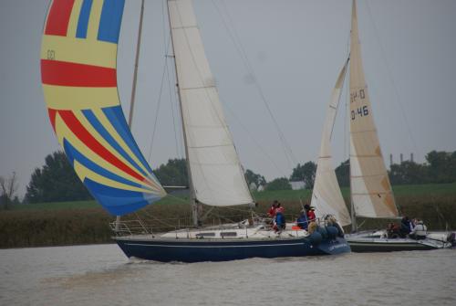 dsc00911 20201006 1302707669