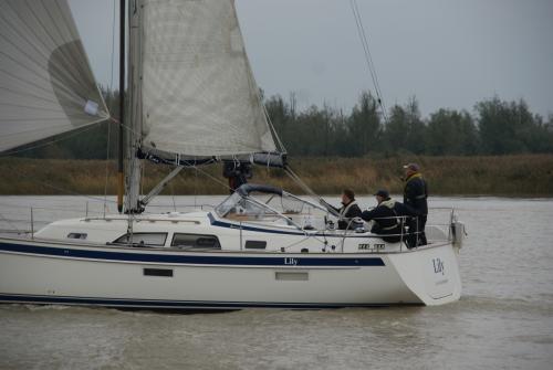 dsc00914 20201006 1196998266