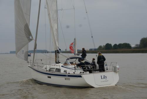 dsc00917 20201006 1411922699