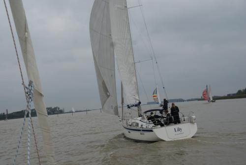 dsc00920 20201006 1015466619