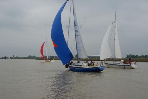 dsc00928 20201006 1085768160