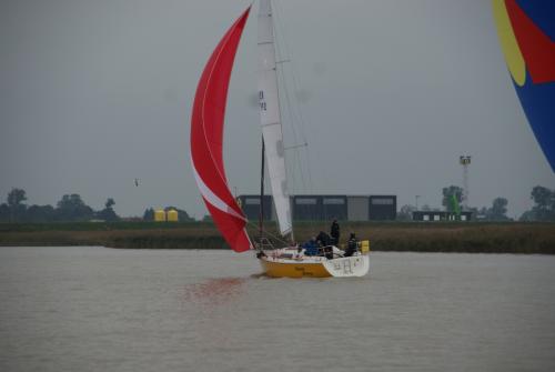 dsc00929 20201006 1820552302