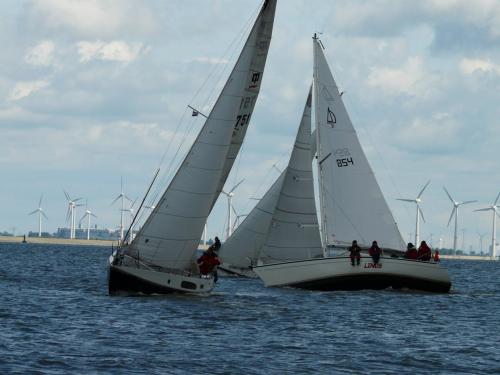 p1070804 20120606 1810179846