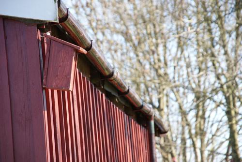 dsc05309 20120606 1106407905