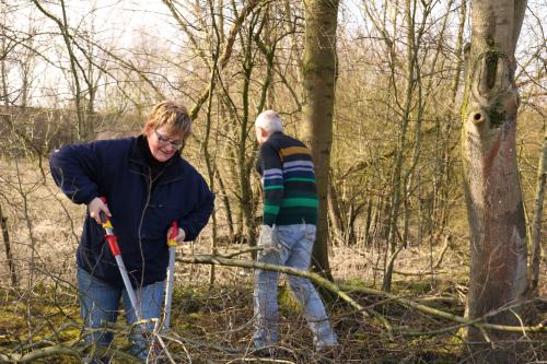 letzter import - 1 von 99 83 20180522 1917158434