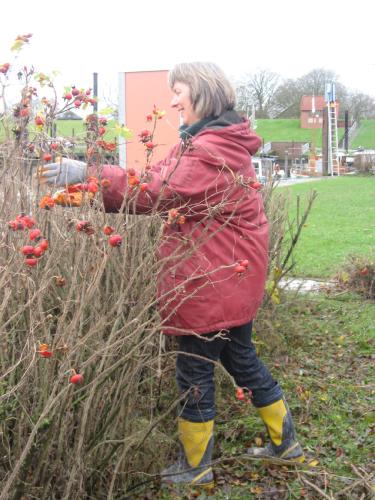 img 5459 20120606 1136664566