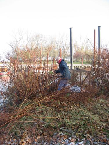 img 7260 20120606 1096871742