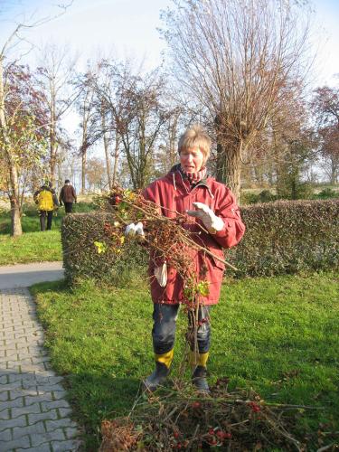 img 7261 20120606 1302773661