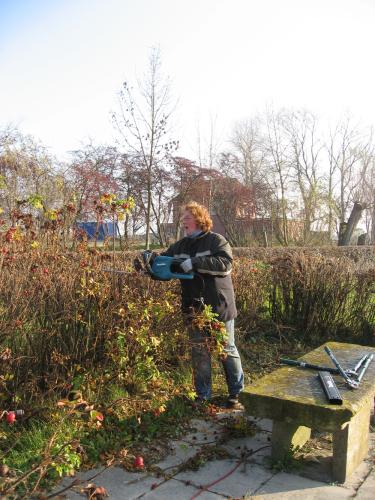 img 7262 20120606 1162457127