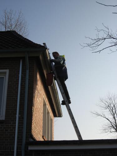 img 7267 20120606 1155270886