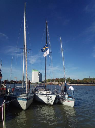 photo-2018-11-04-11-20-21 20190115 1134530216