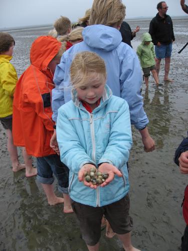 img 2706 20120606 1874936168