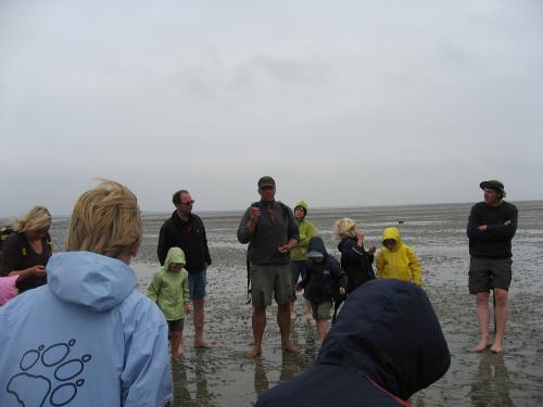 Borkum 2009