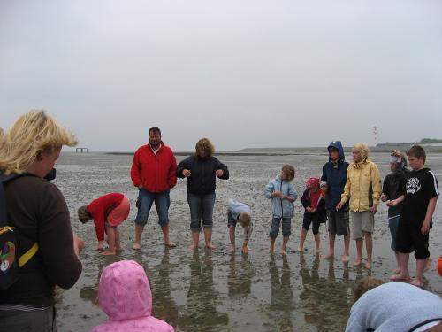 img 2709 20120606 1877101755