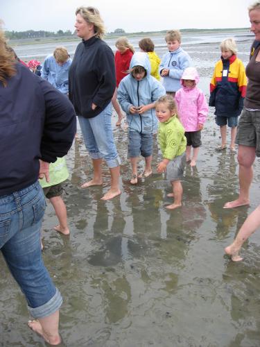 img 2713 20120606 1193533166