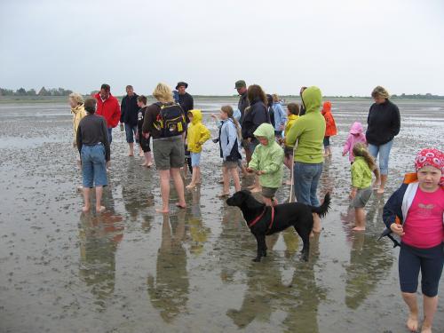 img 2715 20120606 1969063315