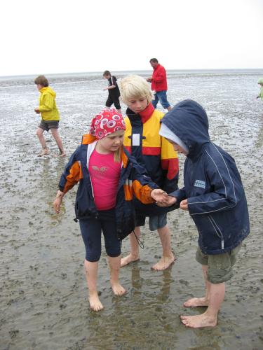 img 2722 20120606 1416099235