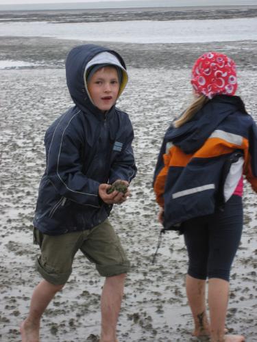 img 2727 20120606 1821313764