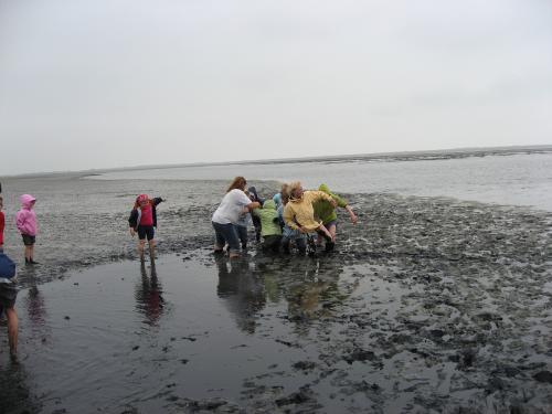 img 2739 20120606 1936570392