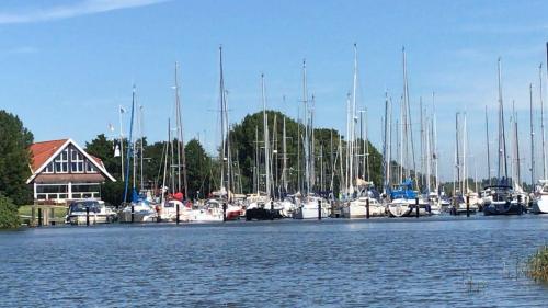  18 20180705 1134630688