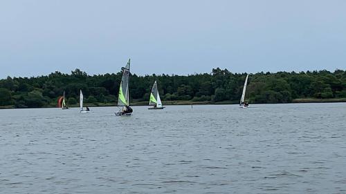  3 20210630 1763861665