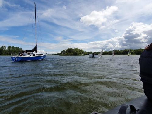  1 20220817 1173493228