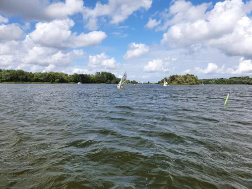  3 20220817 1124893286