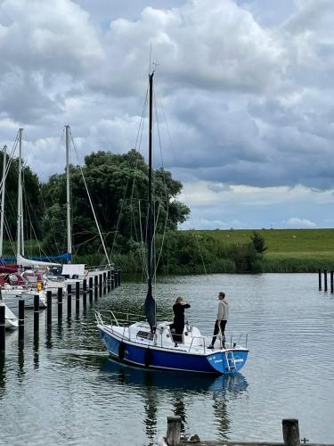  3 20220817 1200062368