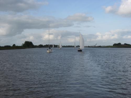 img 3135 20120606 1954024617