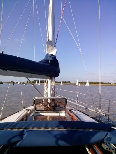 cam01115 20170104 1493909658